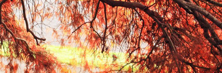 手机号测压源码