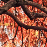 手机号测压下载