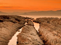 快速版本控制的短信网页在线轰炸源码