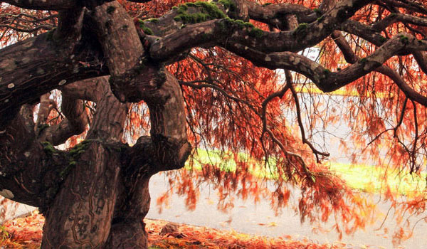 在线短信轰炸软件